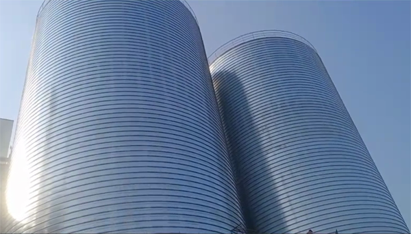 牟平2座混凝土高架卷板仓